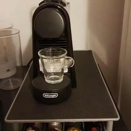 ホームステイ In